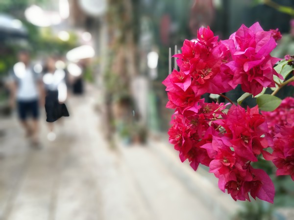 vivo Xplay6拍照怎么樣？