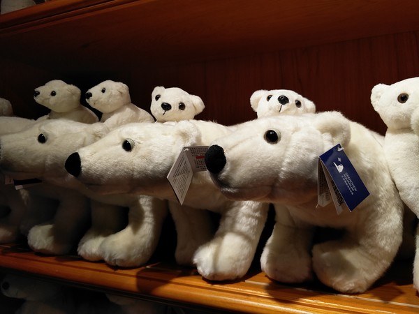 vivo Xplay6拍攝樣張