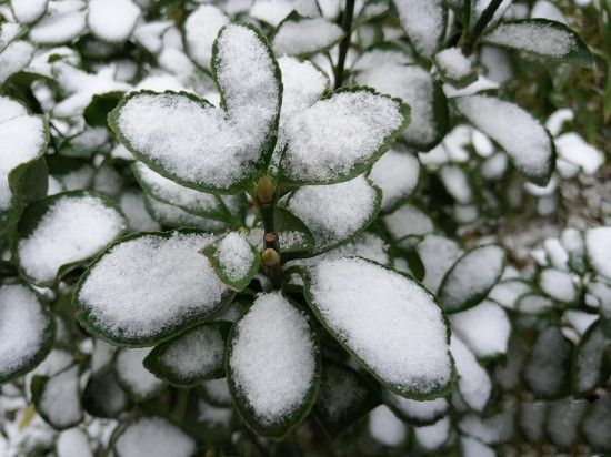 小米Note2對比魅族PRO 6s詳細評測：性能/續航等 誰更值得入手？