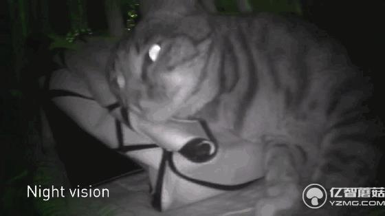 硬幣大小的防水相機 讓你從不同視角看世界