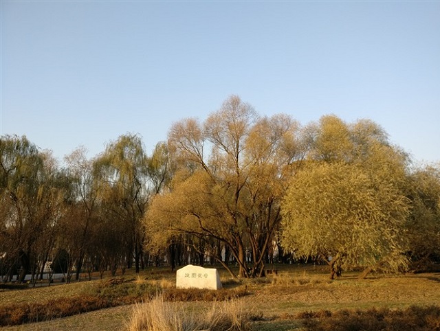 一加3T拍照怎么樣 自拍升級+樣張評測