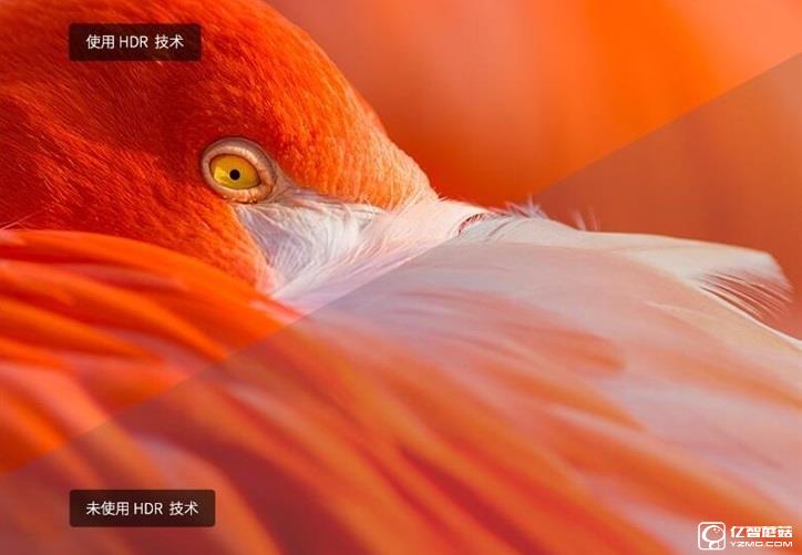 4K HDR+語音 微鯨55寸智能曲面電視