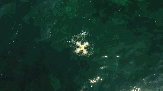 這款無人機身懷絕活!會水上漂還能投放魚餌