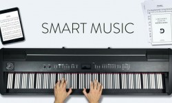 三分鐘熱度學(xué)好樂(lè)器！這款DODEKA演奏套裝讓你速成大師