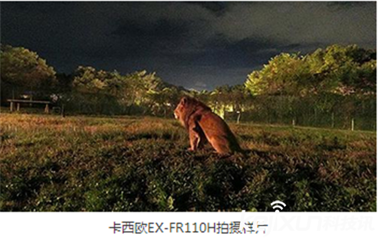 卡西歐推出新款相機：僅190像素 夜景拍攝神器