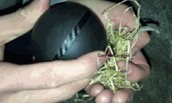 有了ARC點(diǎn)火器  不會(huì)貝爺那套在野外也能生起火