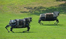 先別想無人機(jī)，谷歌開始考慮用機(jī)器狗送貨