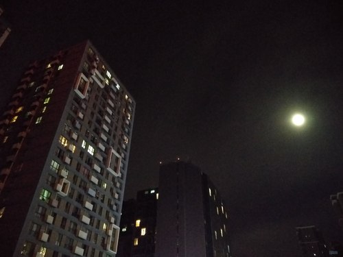 紅米4和魅藍Noet5拍照哪個好？拍攝樣張對比