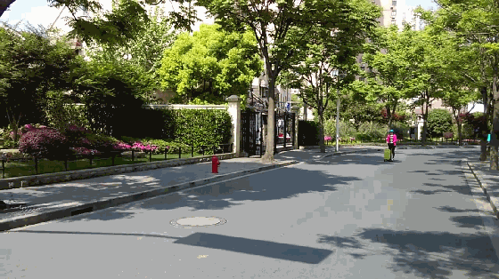 這不就是大媽買菜的神器？只不過帶個電動滑板車