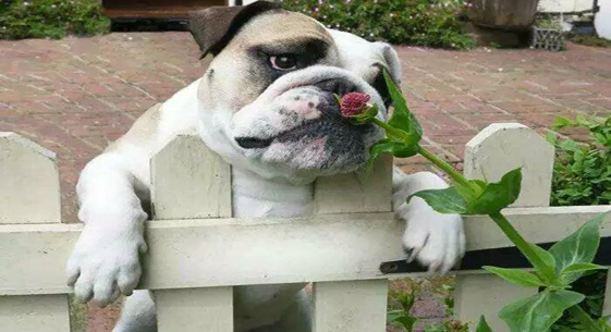 情人節(jié)送什么？這些科技產(chǎn)品值得一看！