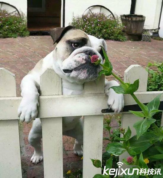 情人節送什么？這些科技產品值得一看！