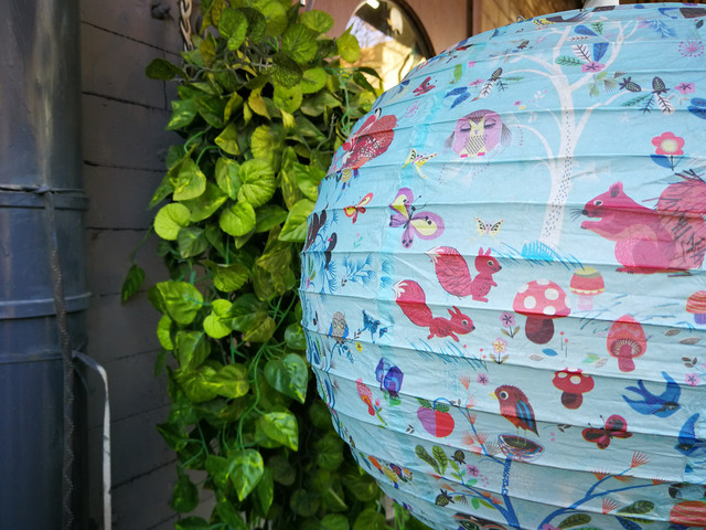 華為P10 Plus評測:雙面徠卡人像攝影大師（先不發布） 