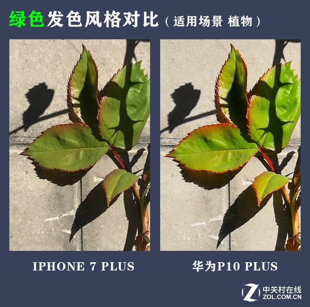 華為P10 Plus拍照把iPhone 7P越甩越遠 
