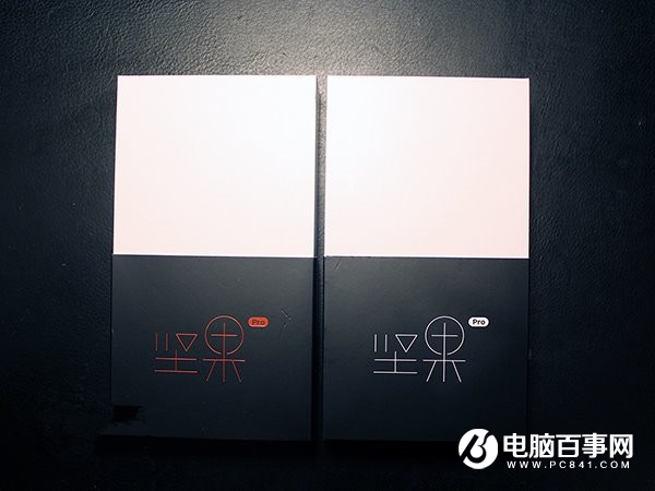 圓滑之中的銳麗異類 堅果Pro簡單上手評測