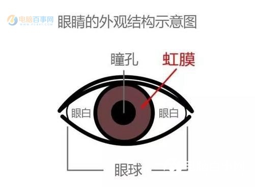 虹膜識別和眼紋識別哪個好?虹膜識別和眼紋識別的區別