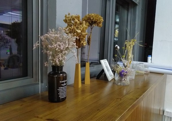 堅(jiān)果Pro拍照怎么樣 雙攝像頭堅(jiān)果Pro拍照樣張圖賞