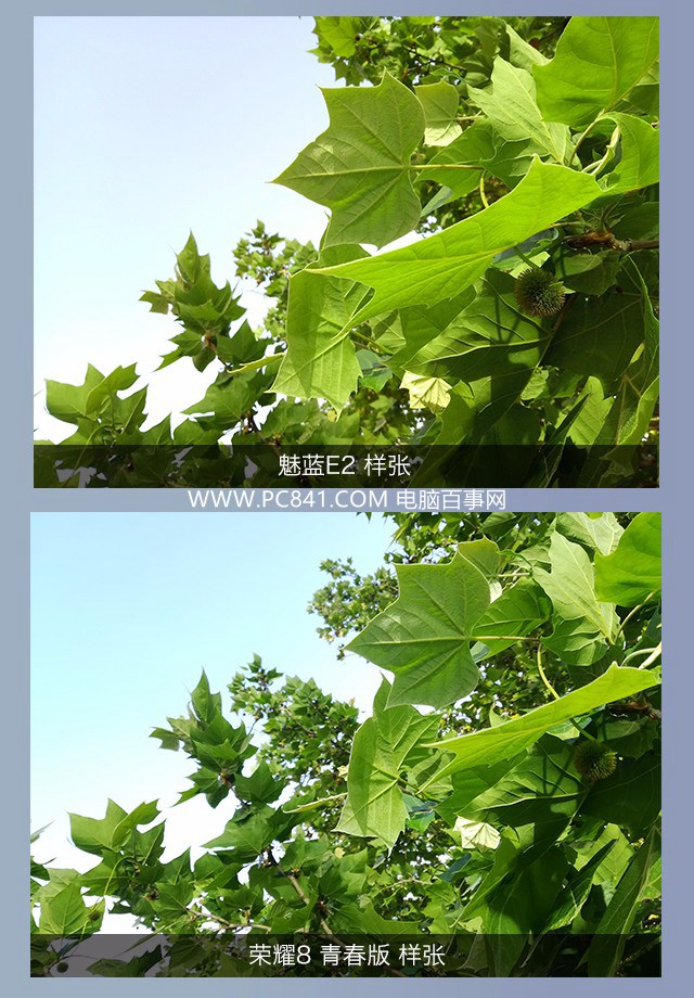 魅藍E2和榮耀8青春版拍照哪個好 樣張對比