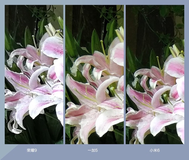 拍照誰更強(qiáng)?一加5 、小米6、榮耀9拍照樣張對比