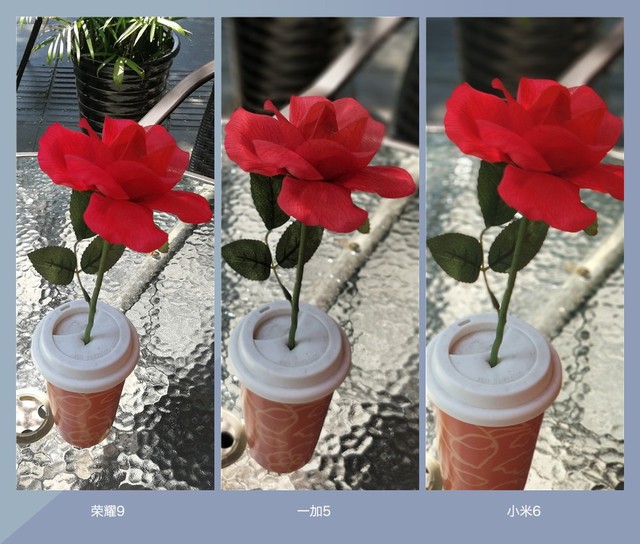 拍照誰更強(qiáng)?一加5 、小米6、榮耀9拍照樣張對比