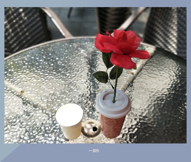 拍照誰更強？一加5 、小米6、榮耀9拍照樣張對比