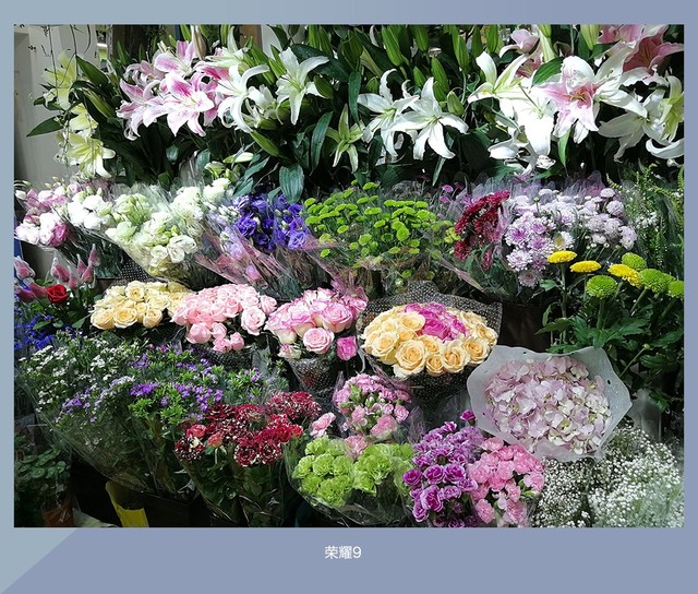 拍照誰更強？一加5 、小米6、榮耀9拍照樣張對比