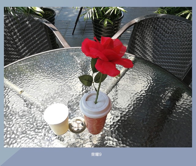 拍照誰更強？一加5 、小米6、榮耀9拍照樣張對比