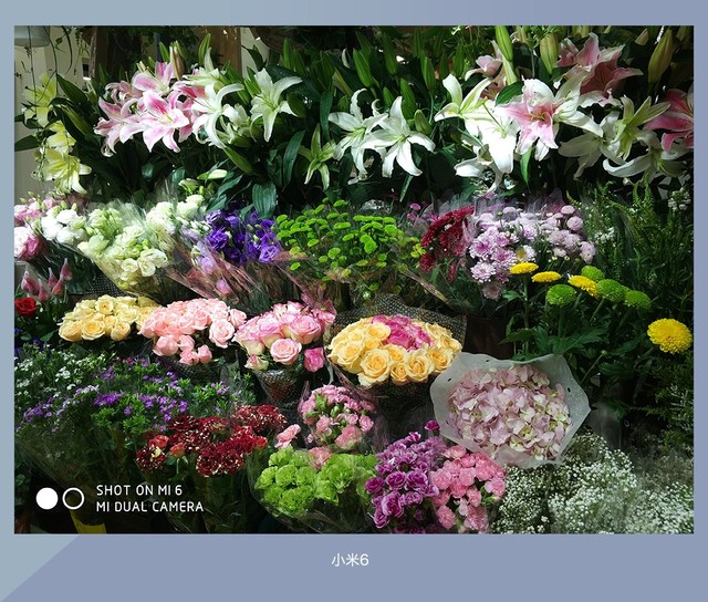 拍照誰更強？一加5 、小米6、榮耀9拍照樣張對比