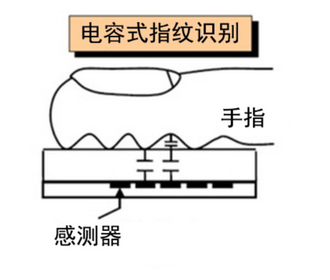 手機指紋識別有幾種?聊聊手機指紋識別那些事