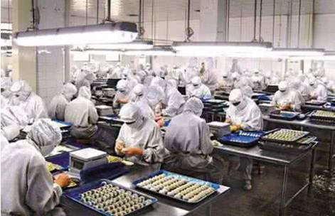 加碼發展智能制造“無人水餃工廠”曝光，再不努力真該失業了