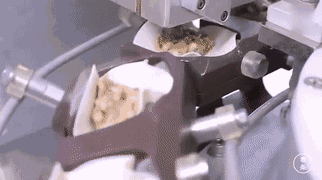 “無人水餃工廠”曝光，再不努力真該失業(yè)了