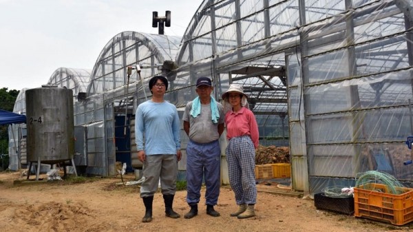 機器或能替代人類分揀黃瓜 人工智能真的無所不能么？