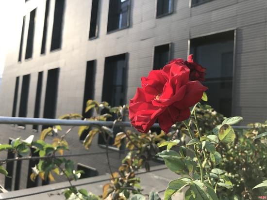 iPhone8/8 Plus全面評(píng)測(cè)：給你一個(gè)不等iPhoneX的理由