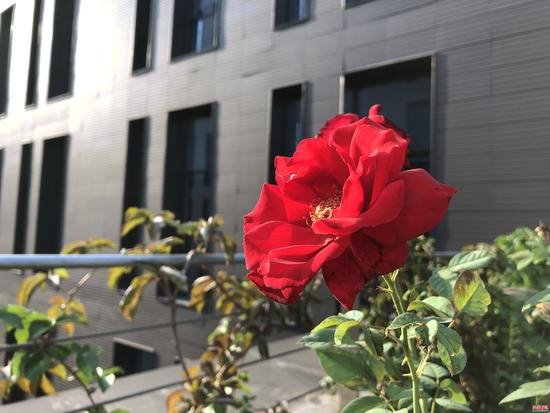 iPhone8/8 Plus全面評(píng)測(cè)：給你一個(gè)不等iPhoneX的理由