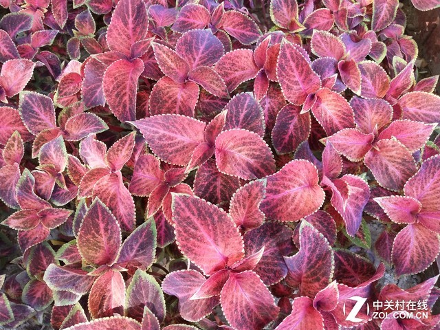 vivo X20評(píng)測(cè):屏幕2.0時(shí)代顛覆的開(kāi)端(不發(fā))