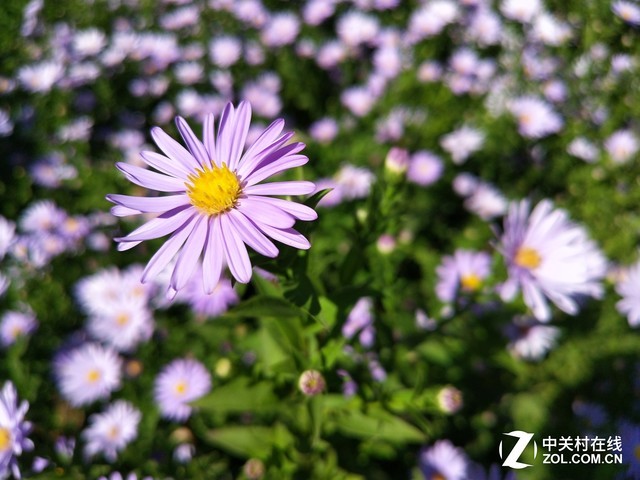 vivo X20評(píng)測(cè):屏幕2.0時(shí)代顛覆的開(kāi)端(不發(fā))