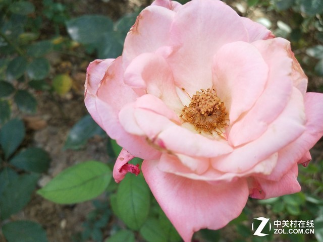 vivo X20評(píng)測(cè):屏幕2.0時(shí)代顛覆的開(kāi)端(不發(fā))