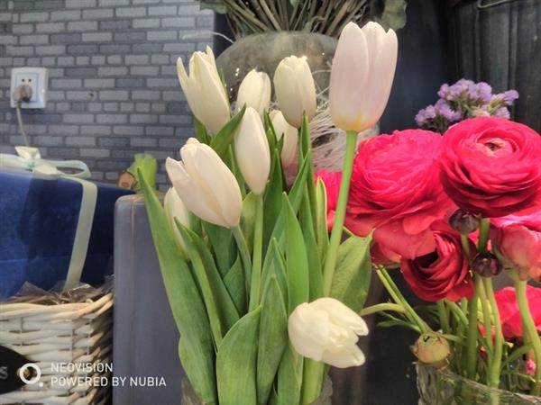 千元機拍照專家!努比亞V18評測:全面屏長續航