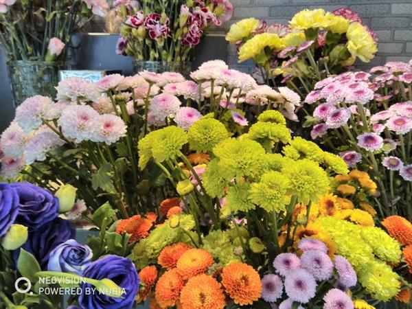 千元機拍照專家!努比亞V18評測:全面屏長續航