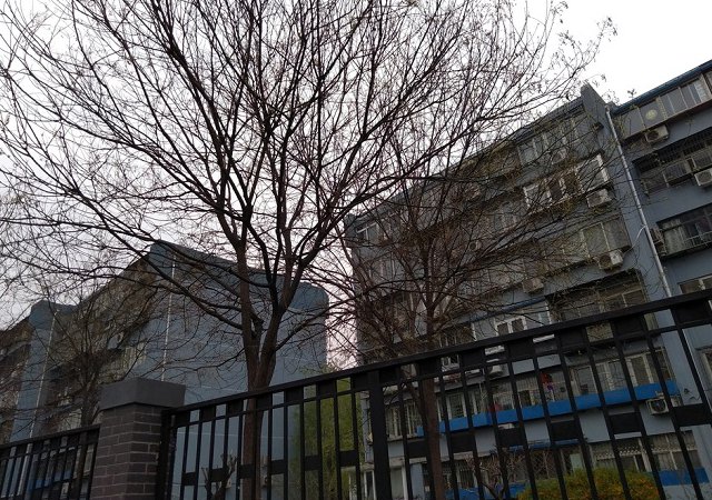 堅果3值得買嗎?錘子堅果3評測