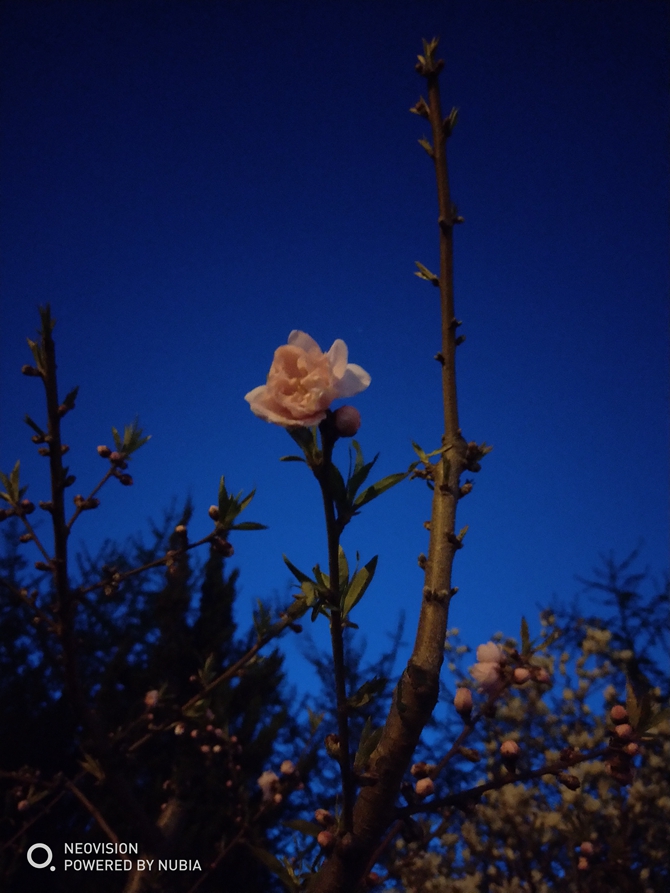 努比亞Z18mini值得買嗎?努比亞Z18mini評測