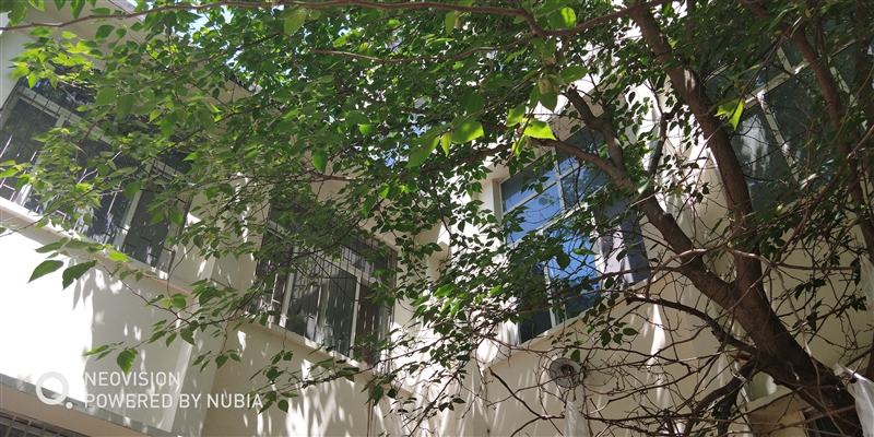 1799元起!努比亞Z18mini評(píng)測(cè):3D曲面玻璃+2400萬像素