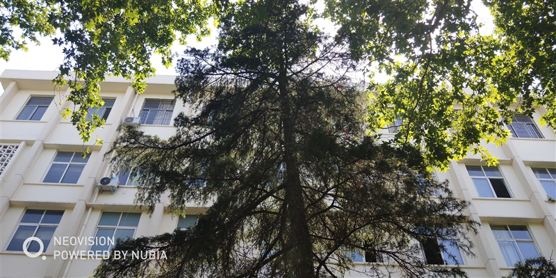 1799元起!努比亞Z18mini評(píng)測(cè):3D曲面玻璃+2400萬像素