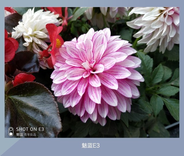 360N7、魅藍(lán)E3、紅米Note5對(duì)比評(píng)測(cè) 千元強(qiáng)機(jī)你選誰(shuí)？