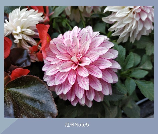 360N7、魅藍(lán)E3、紅米Note5對(duì)比評(píng)測(cè) 千元強(qiáng)機(jī)你選誰(shuí)？