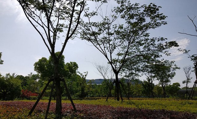 紅米S2值得買嗎 紅米S2全面評測