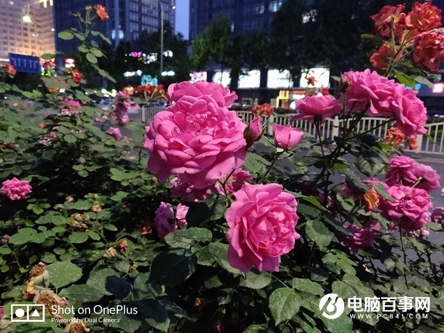 一加手機(jī)6怎么樣 值得買嗎?一加6評(píng)測