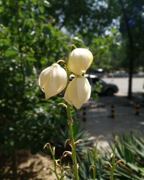 當(dāng)信仰有了性價(jià)比 諾基亞X6全面評(píng)測(cè)