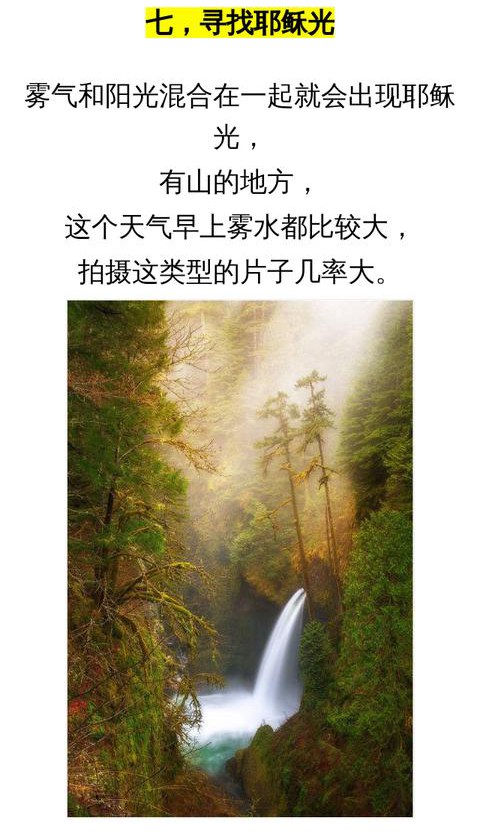 手機拍照小技巧:10個逆光風景拍攝技巧