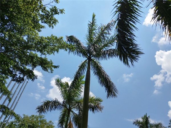 HTC U12+評測：旗艦配置與做工，解鎖新技能還需VR加持