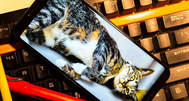 榮耀Play配置怎么樣 榮耀Play參數(shù)與真機(jī)圖賞